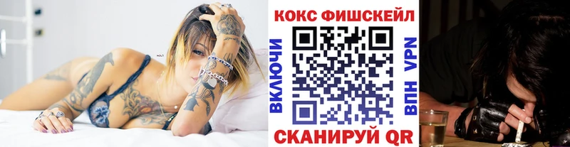 Купить где  Никольск  COCAIN Fish Scale 