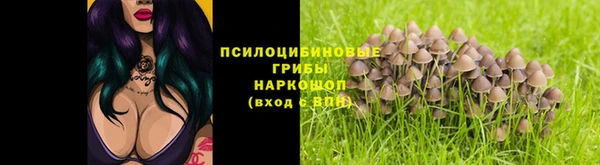 ГАЛЛЮЦИНОГЕННЫЕ ГРИБЫ Верхнеуральск